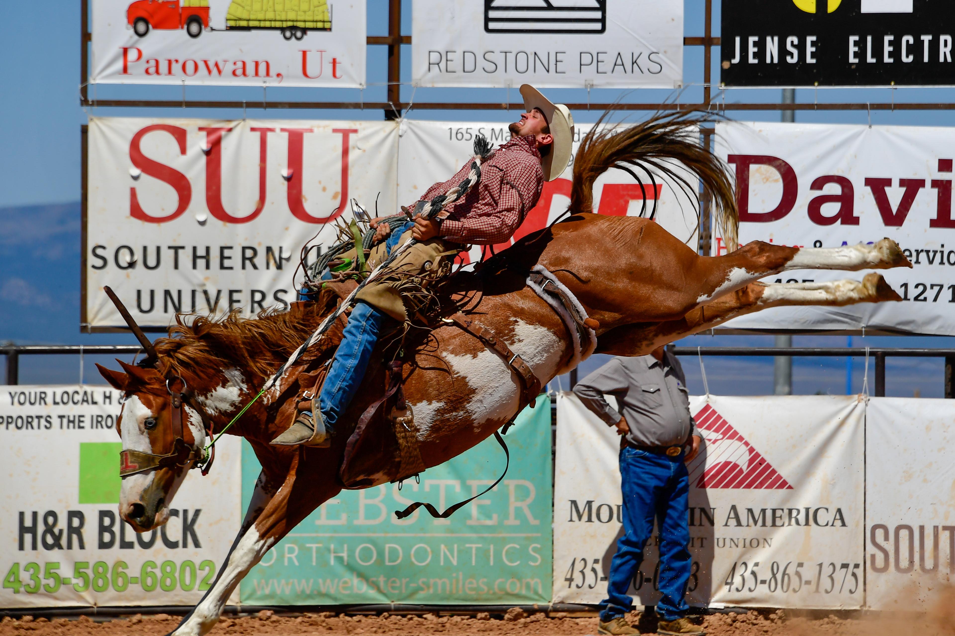 Bucking bronco with a man holding on for dear life