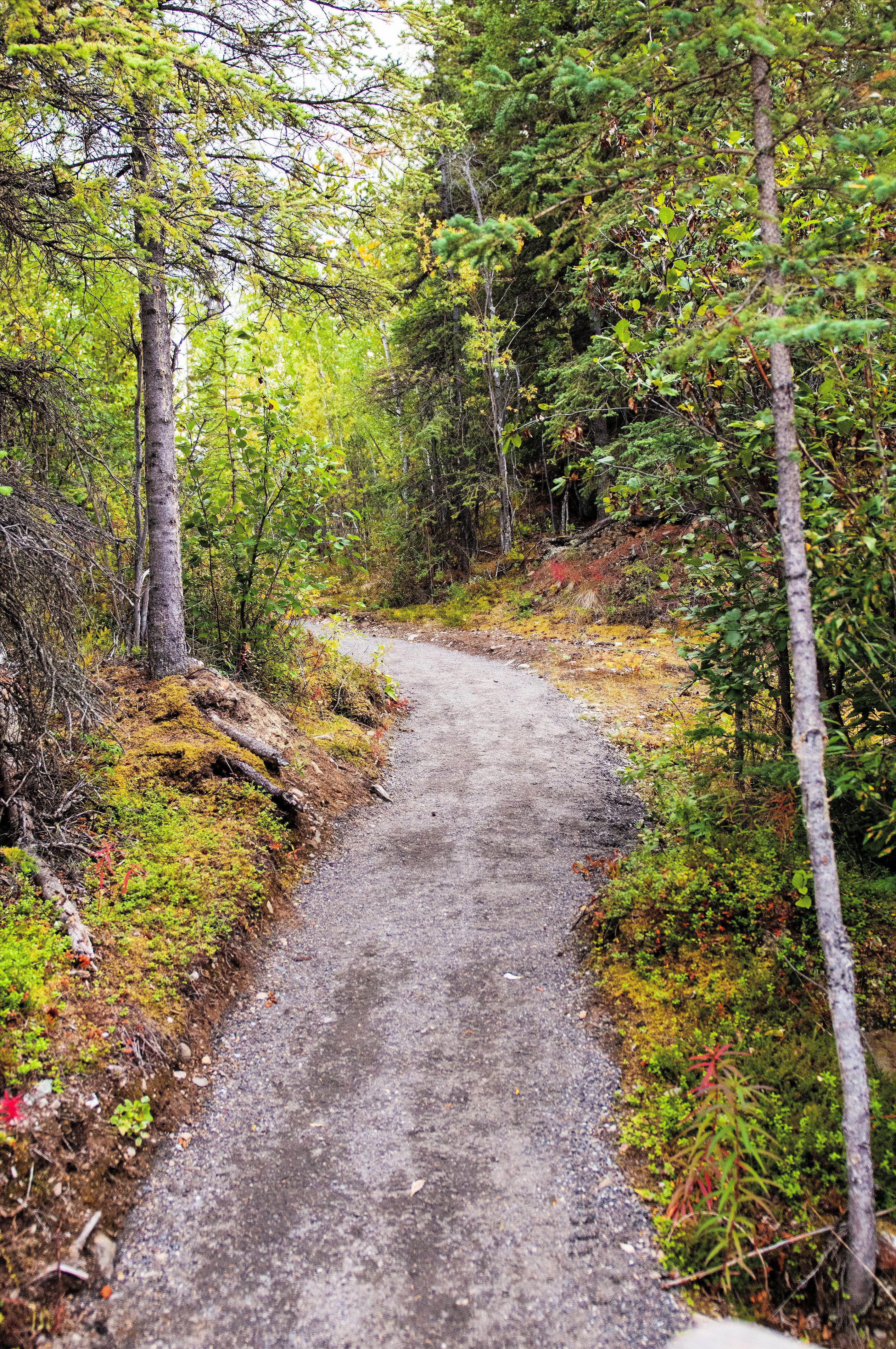 Trails