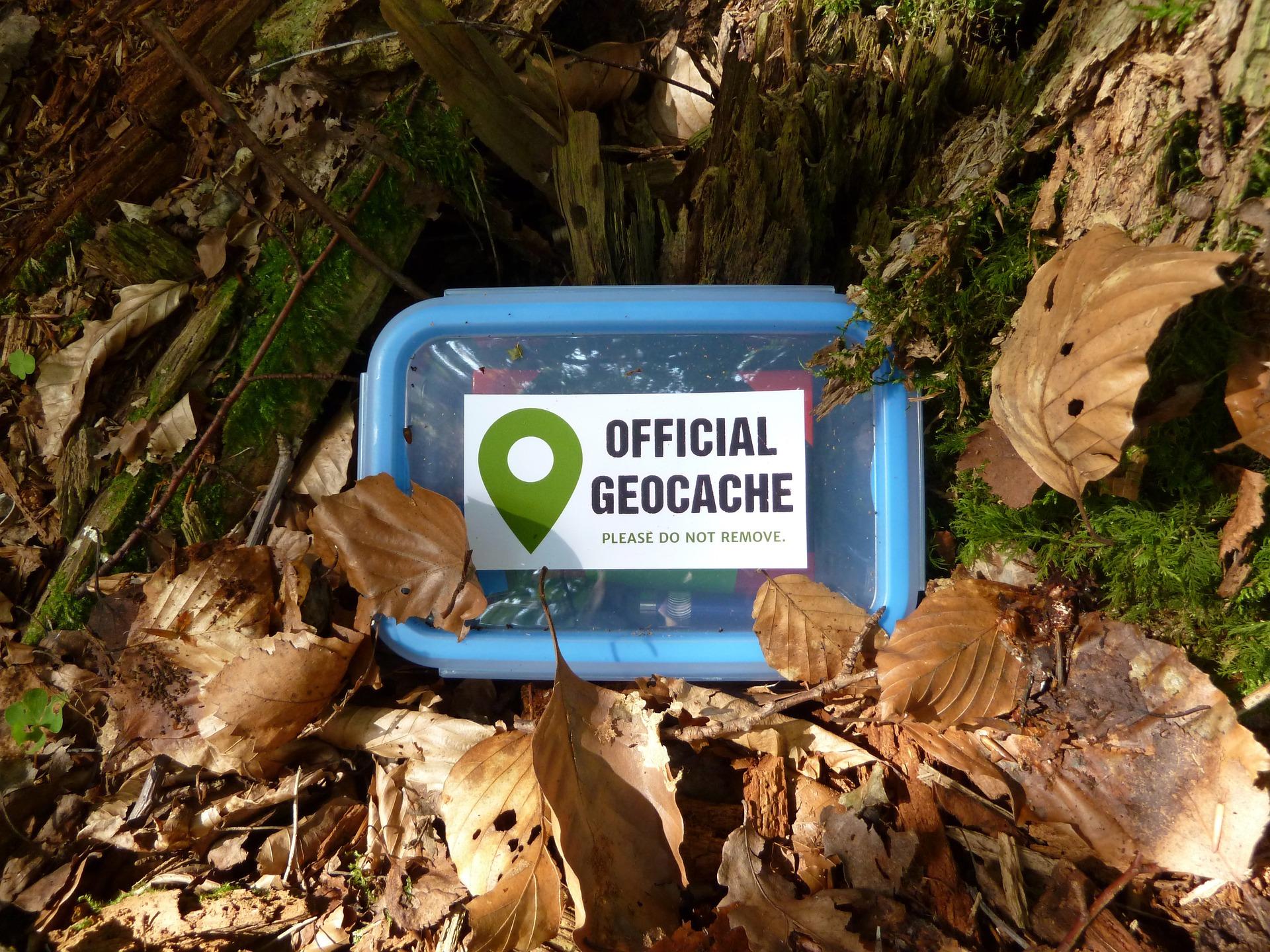 Image of a geocache container in the woods