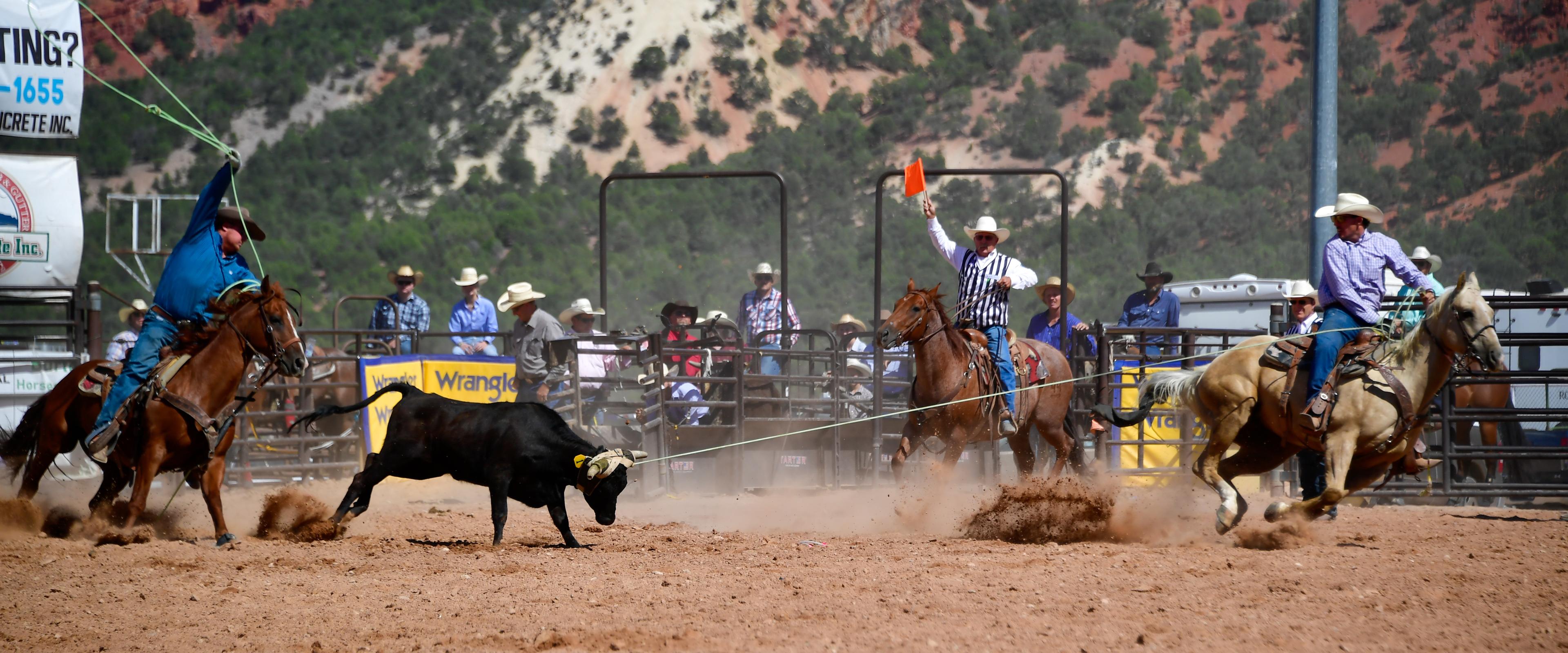 Two riders team roping a steer in the arena