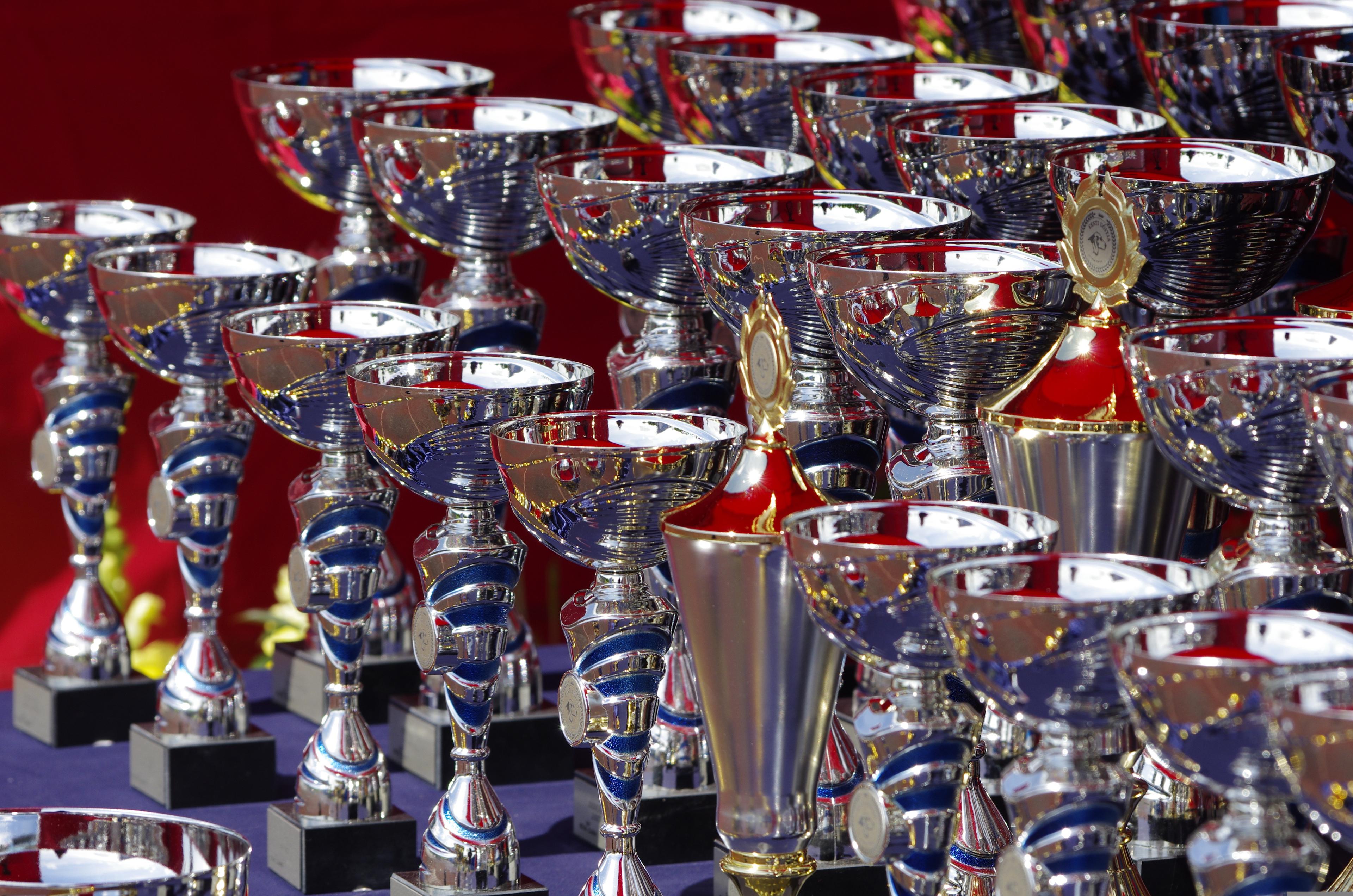 trophies all lined up in rows ready for the winners to recieve them.